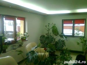 Zugrav București   Zugrăvit Rapid Apartamente - imagine 4