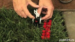 Intretinere si reparatii sisteme de irigatii rezidentiale  - imagine 5