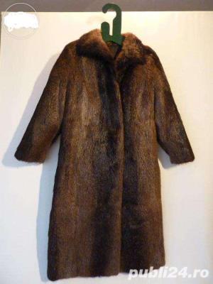  Blana superba nutrie noua lunga 