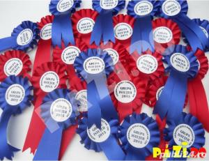 Cocarde tricolore, cocarde personalizate - imagine 3