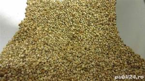 Presa de ulei la rece - imagine 2