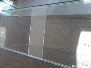 Acvarii Arad - imagine 3 Acvarii Arad - imagine 3