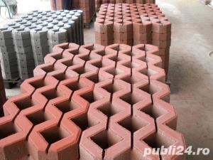 Boltari    Fundatie - imagine 9