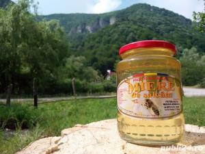Miere albine naturala de salcam (produse naturiste miere)