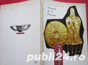 Tezaurul de la Pietroasa, Ecaterina Dunareanu Vulpe, 1967