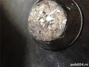 Cosar autorizat  - imagine 2