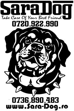 Jucarii interactive caini. - imagine 7