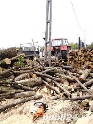 Vind lemne de FOC diferite esente ! Transport gratuit ! - imagine 10