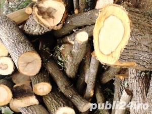 Vind lemne de FOC diferite esente ! Transport gratuit ! - imagine 7