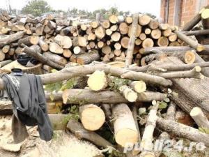 Vind lemne de FOC diferite esente ! Transport gratuit ! - imagine 8