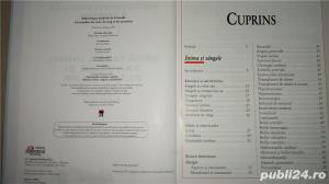 Enciclopedia medicala a familiei, vol.V -Sanatatea inimii, sangelui - imagine 2