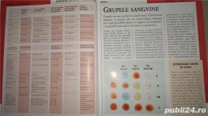 Enciclopedia medicala a familiei, vol.V -Sanatatea inimii, sangelui - imagine 5
