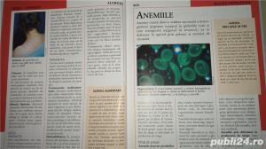 Enciclopedia medicala a familiei, vol.V -Sanatatea inimii, sangelui - imagine 6