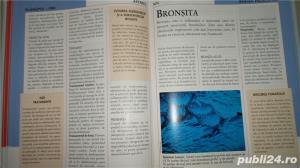 Enciclopedia medicala a familiei, vol.V -Sanatatea inimii, sangelui - imagine 12