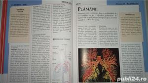 Enciclopedia medicala a familiei, vol.V -Sanatatea inimii, sangelui - imagine 11