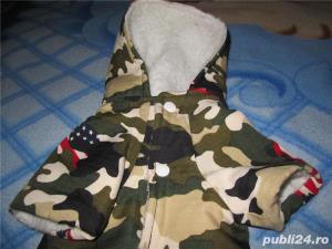 Haina/hanorac catei bishon,shi-tzu,york shire,talie mica,etc..-ieftina - imagine 5