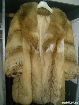 blana vulpe
