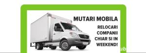Mutari Mobila  Mutari Bagaje - Electocasnice - TransportTimisoara  diverse debarasări ridic moloz   - imagine 3