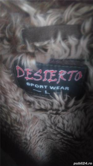 Geci dama de iarna - imagine 3