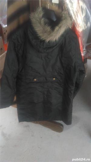 Geci dama de iarna - imagine 5