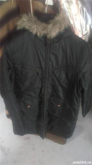 Geci dama de iarna - imagine 4