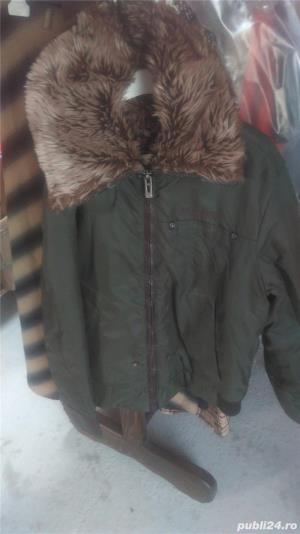 Geci dama de iarna - imagine 2