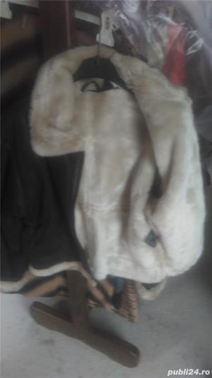 Cojoace scurte pentru doamne - imagine 2