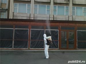 Servicii de deratizare, dezisectie, dezinfectie - imagine 3