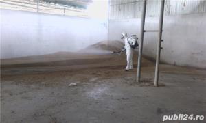 Servicii de deratizare, dezisectie, dezinfectie - imagine 5