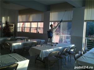 Servicii de deratizare, dezisectie, dezinfectie - imagine 4