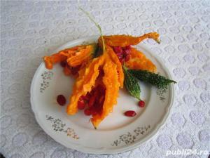 Seminte de castraveta amar Momordica Charantia -2 livrari gratuite luna - imagine 2