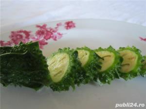 Seminte de castraveta amar Momordica Charantia -2 livrari gratuite luna - imagine 3