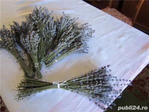 Sandale din piele maro, noi, marime 37 + bonus si Livrare gratuita*  - imagine 4