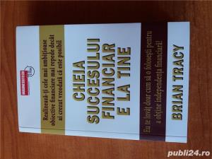 Vand cartea " Cheia succesului e la tine"