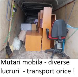 Transport Marfa  Mutari mobila  Bagaje Transport Diverse Timisoara  Debarasari  Ridic moloz  - imagine 4