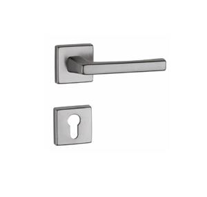 Manere usi Linea argintii