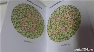 Teste Ishihara - setul de 24 - imagine 3