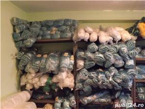 plase de pescuit - imagine 2