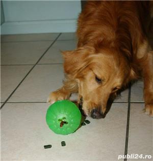 Jucarii interactive caini. - imagine 2