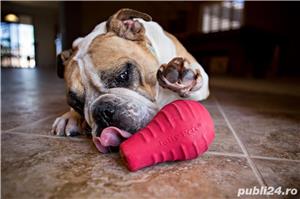 Jucarii interactive caini. - imagine 5