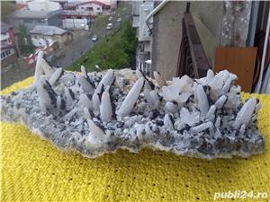 Floare de mina nr 61 - imagine 2