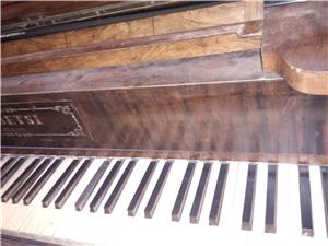 Pian cu coada e.betsi in wien - imagine 2