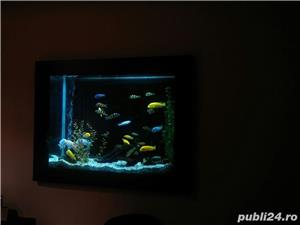 Acvariu in perete - imagine 3