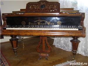 Pian Franz Wolek-Wien