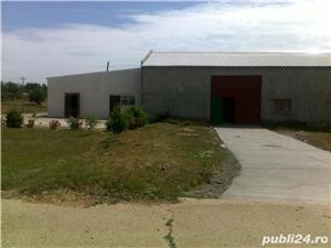 Warehouse for rent or sale Constanta, Mangalia - imagine 2