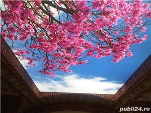 nou tavane extensibile   - imagine 2