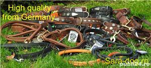 Lesa caine,ham caine,botnita caine,zgarda caine,echipamente dresaj . - imagine 2