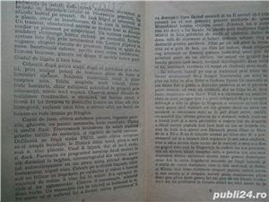 "Corpuri De Iluminat ", Stelian Tanase , 1990 - imagine 3