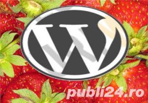 Realizare Web-Site profesionale, Preturi foarte avantajoase - imagine 2