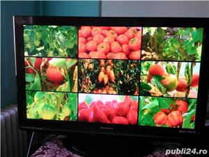 Televizor Panasonic TX-P42X10Y  - imagine 2